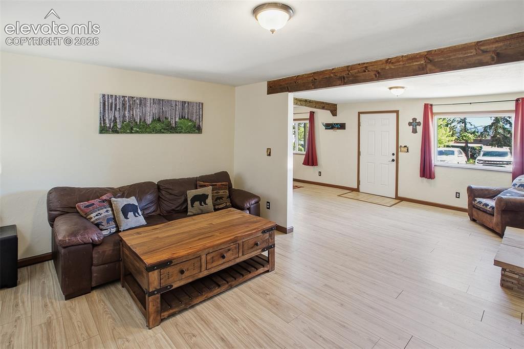 111 N Pine Street Woodland Park CO 80863