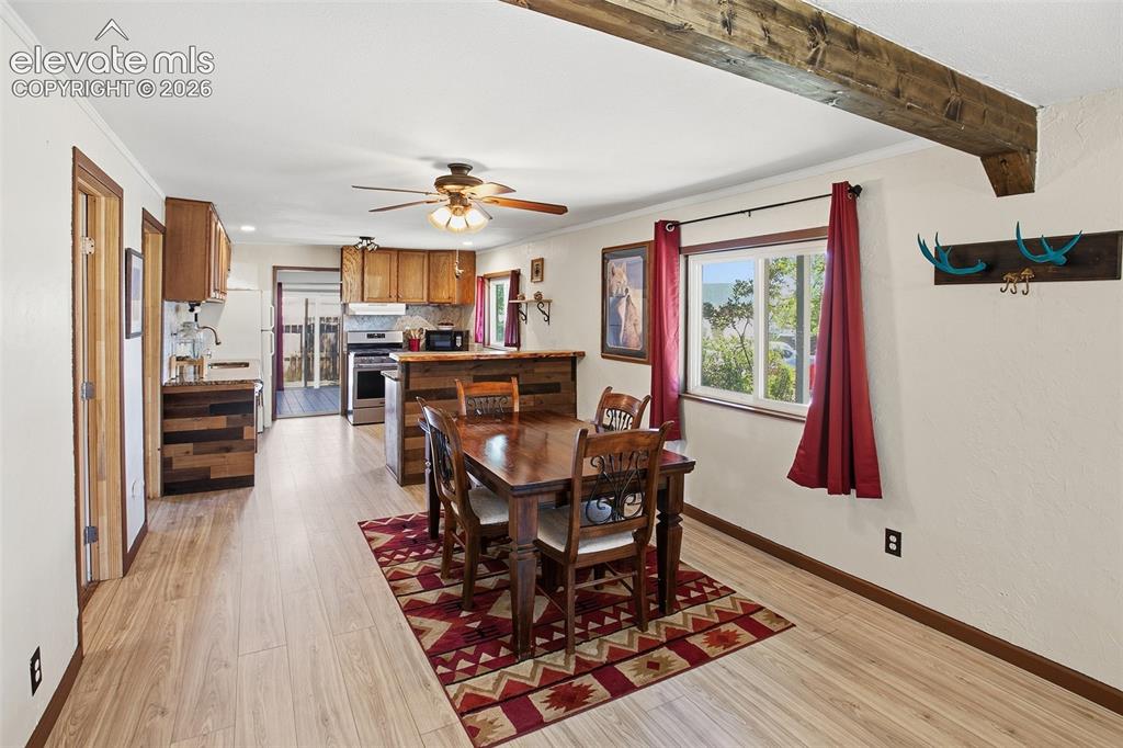 111 N Pine Street Woodland Park CO 80863