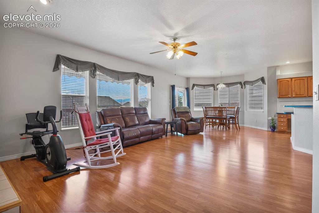 1355 Almagre Peak Drive Colorado Springs CO 80921