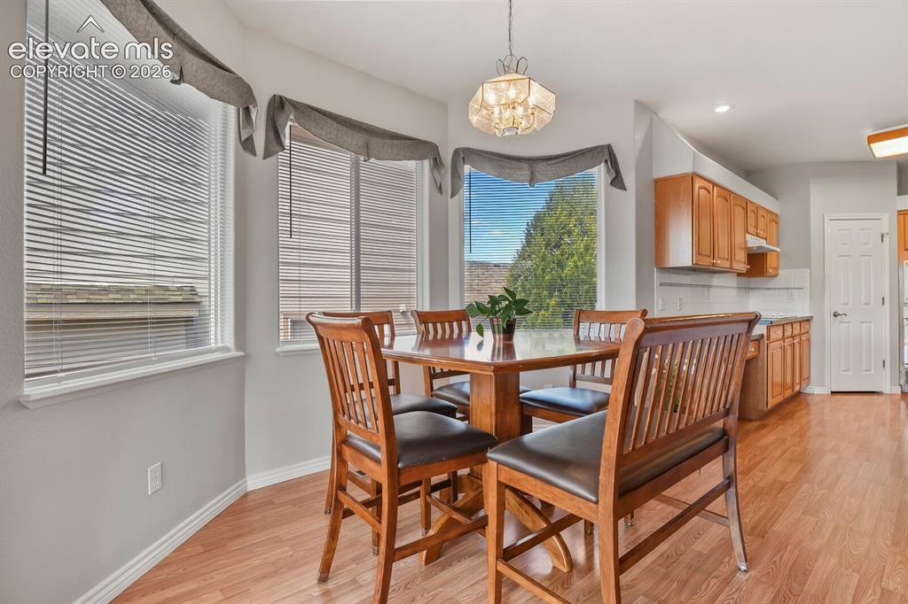 1355 Almagre Peak Drive Colorado Springs CO 80921