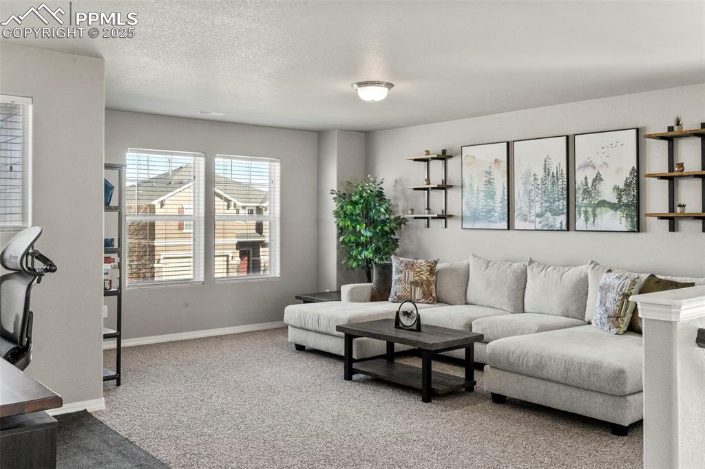 7241 Thorn Brush Way Colorado Springs CO 80923