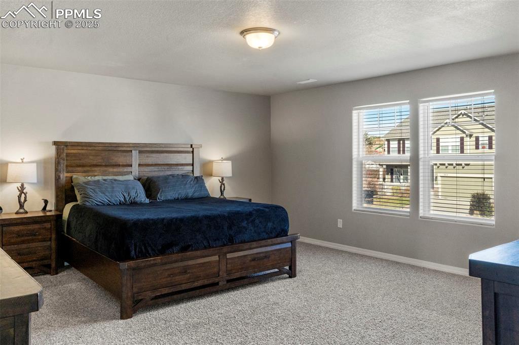 7241 Thorn Brush Way Colorado Springs CO 80923