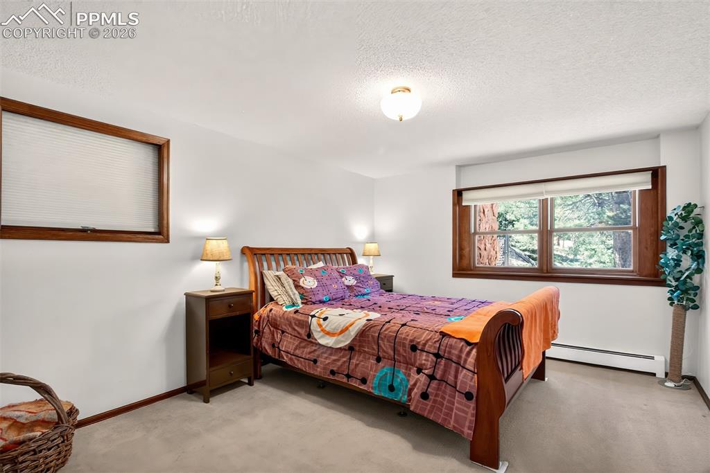 55 Ponderosa Lane Woodland Park CO 80863