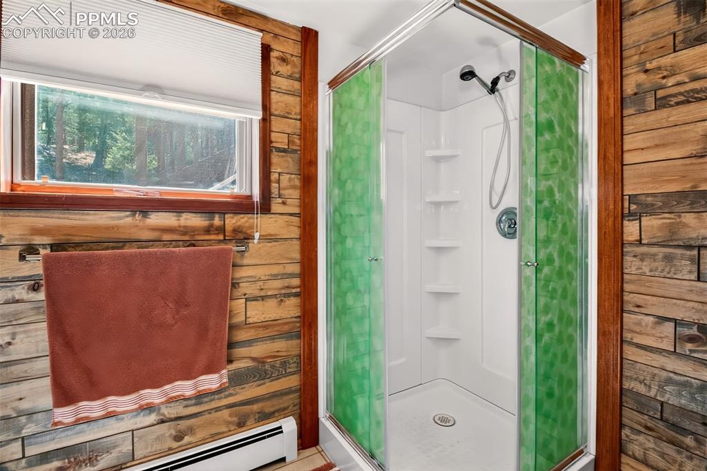 55 Ponderosa Lane Woodland Park CO 80863