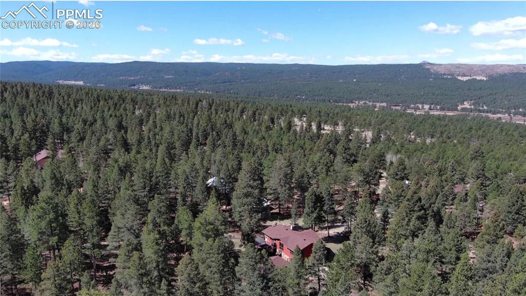 55 Ponderosa Lane Woodland Park CO 80863
