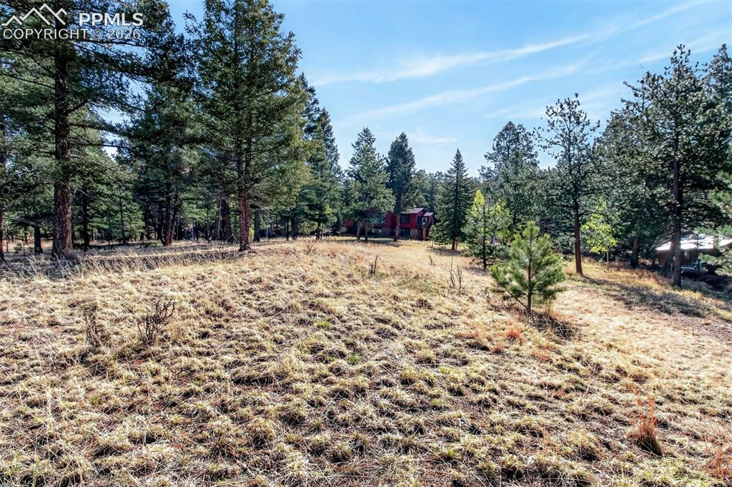 55 Ponderosa Lane Woodland Park CO 80863