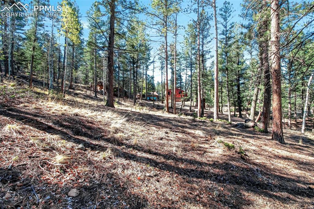 55 Ponderosa Lane Woodland Park CO 80863
