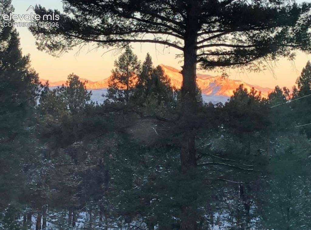 55 Ponderosa Lane Woodland Park CO 80863