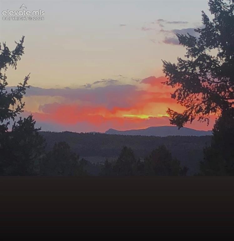 55 Ponderosa Lane Woodland Park CO 80863