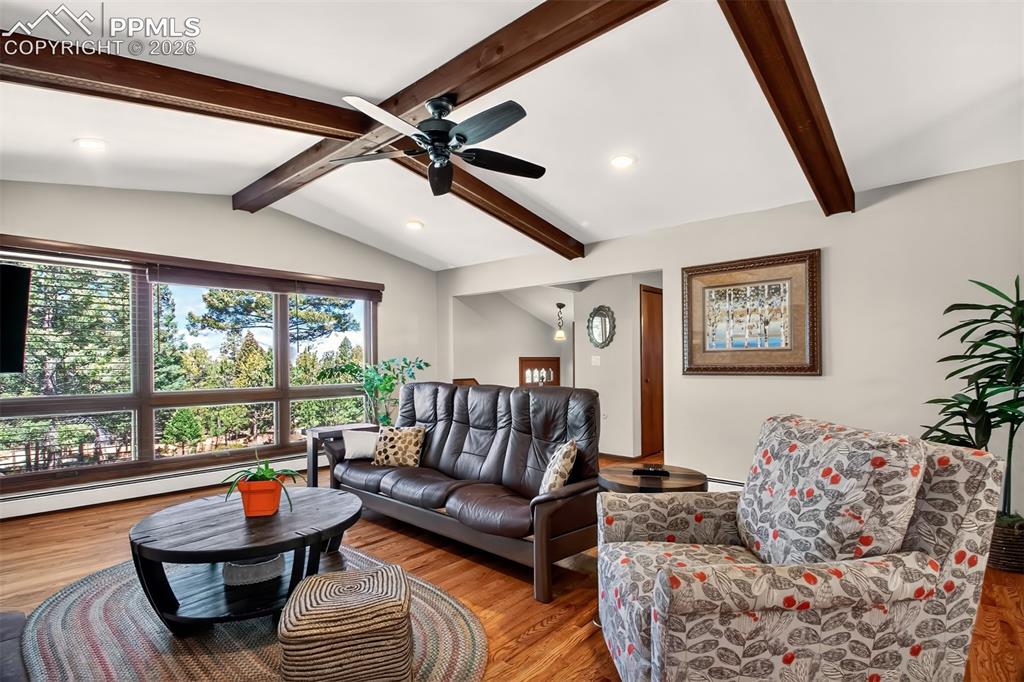 55 Ponderosa Lane Woodland Park CO 80863