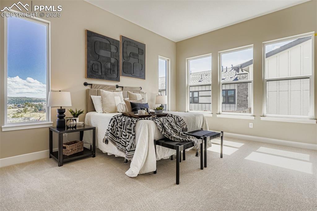 2011 Grayside Circle Castle Rock CO 80109