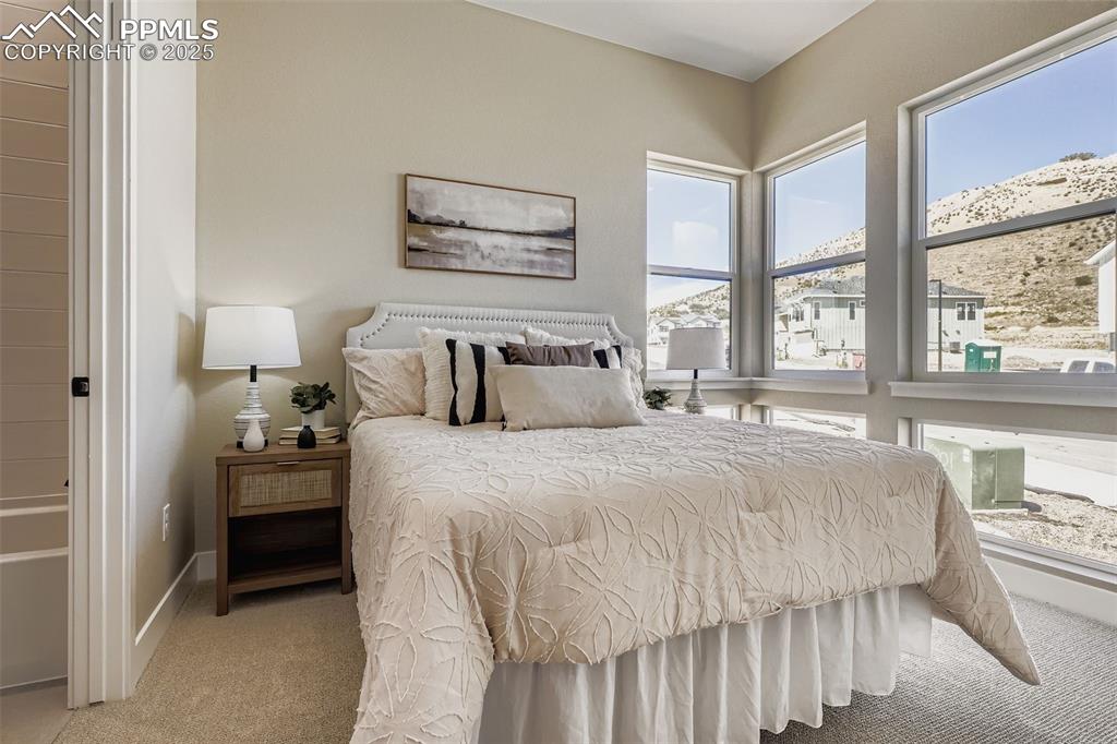 2011 Grayside Circle Castle Rock CO 80109