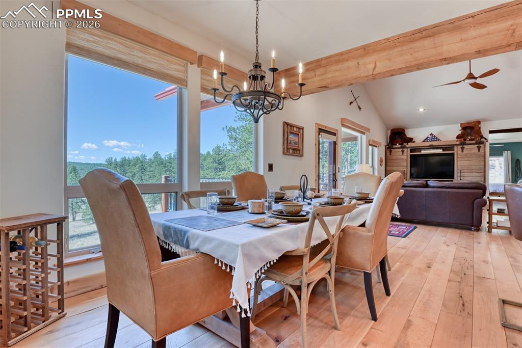 37081 County Road 77 Lake George CO 80827