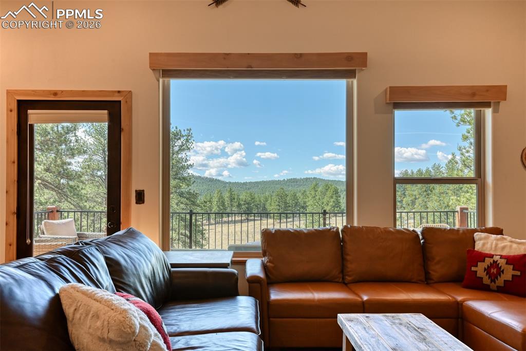 37081 County Road 77 Lake George CO 80827