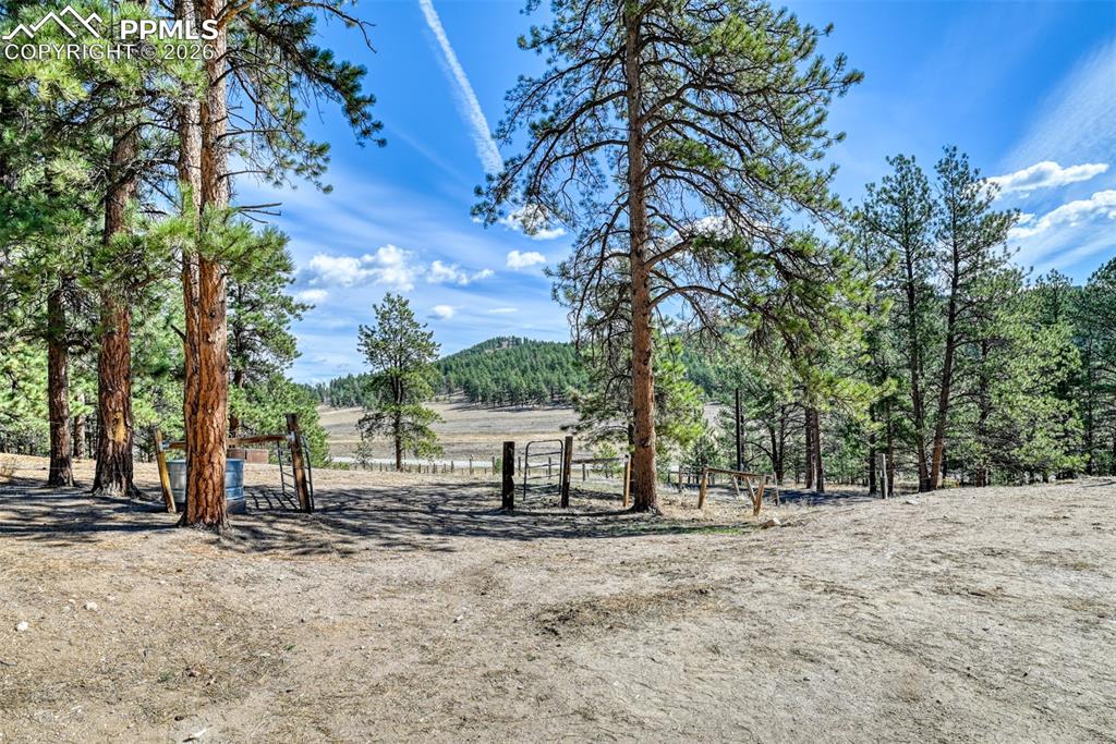 37081 County Road 77 Lake George CO 80827