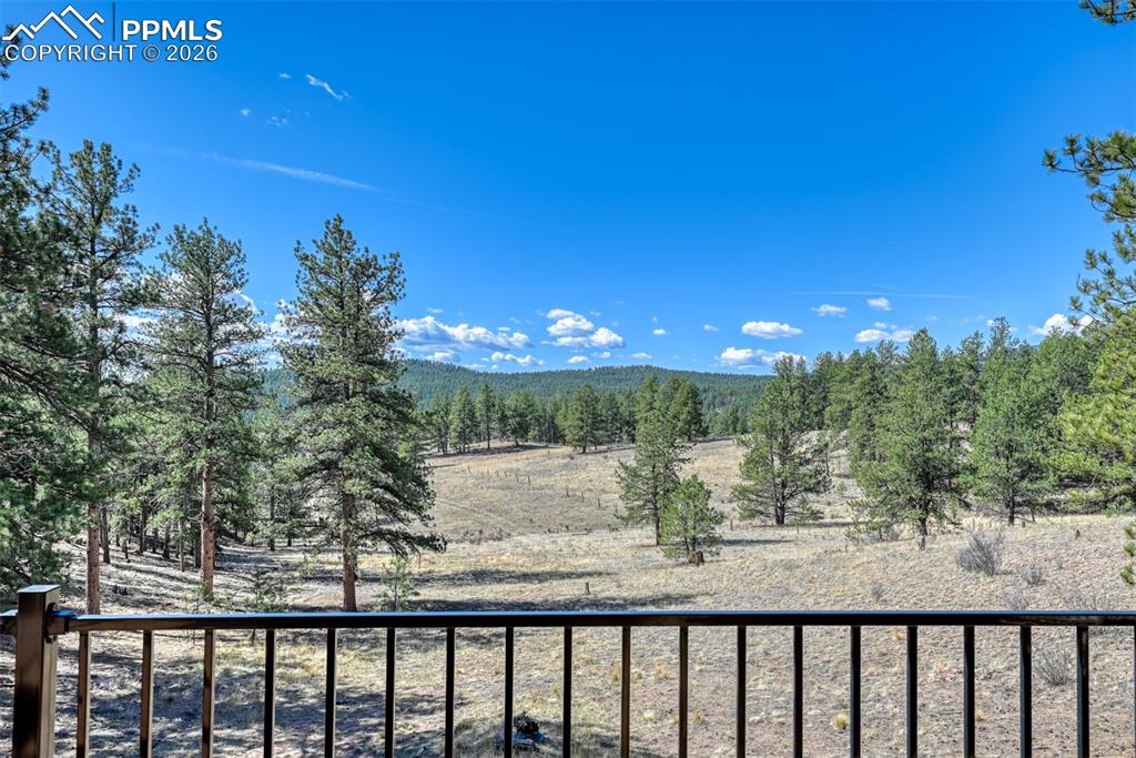 37081 County Road 77 Lake George CO 80827