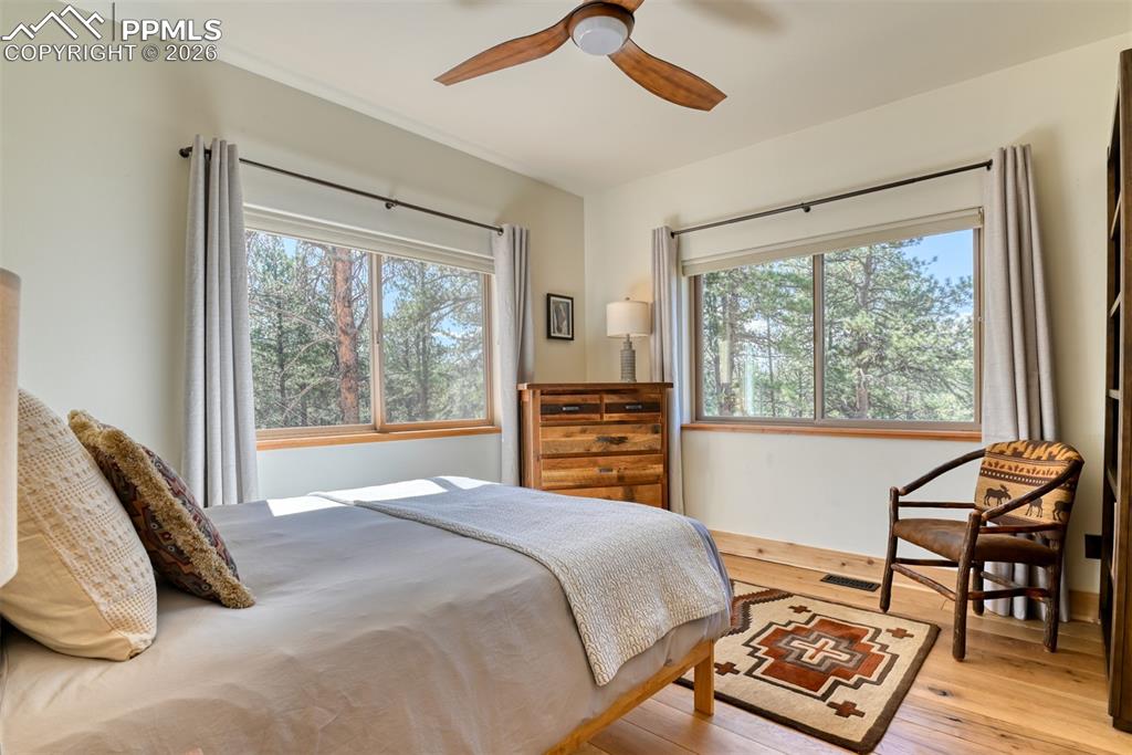 37081 County Road 77 Lake George CO 80827