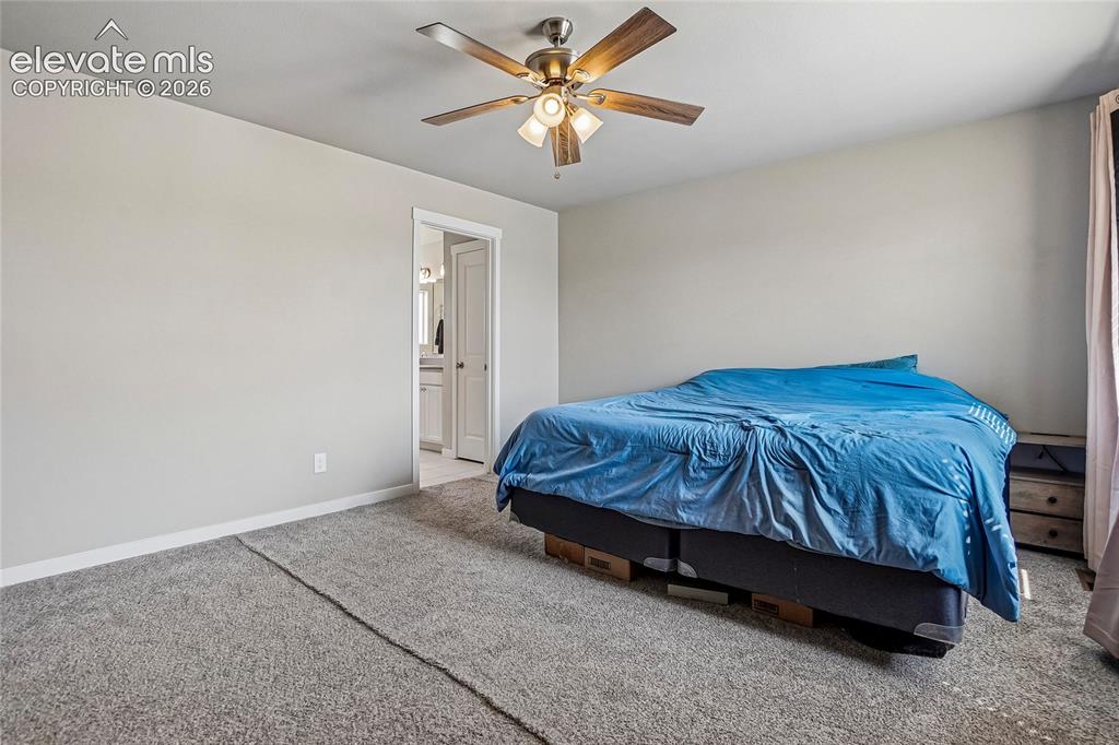 6862 Bigtooth Maple Drive Colorado Springs CO 80925