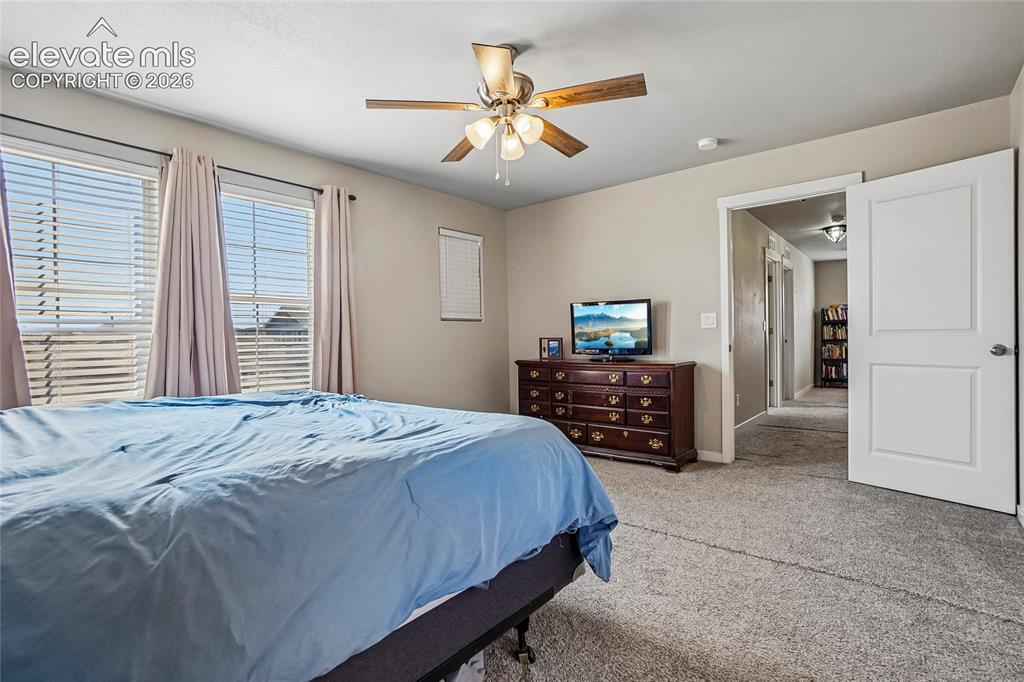 6862 Bigtooth Maple Drive Colorado Springs CO 80925