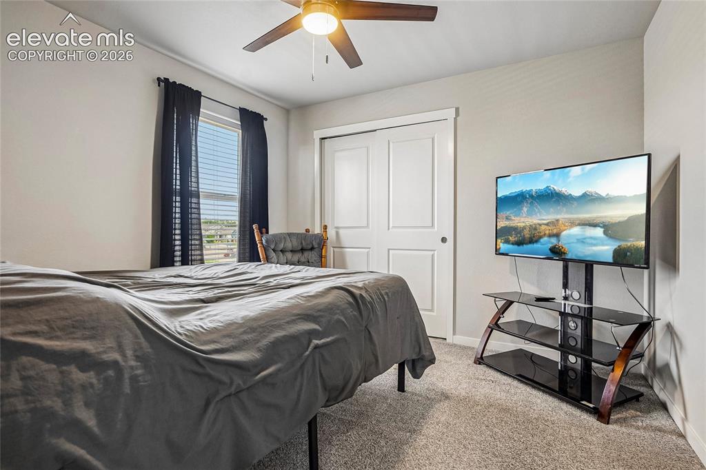 6862 Bigtooth Maple Drive Colorado Springs CO 80925
