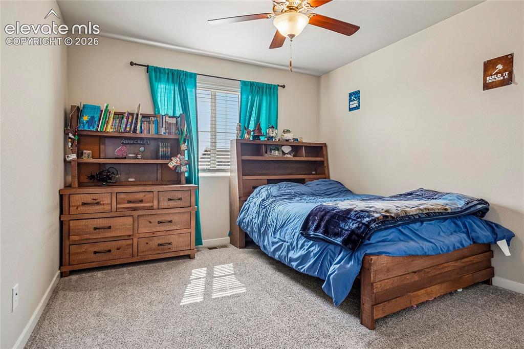 6862 Bigtooth Maple Drive Colorado Springs CO 80925