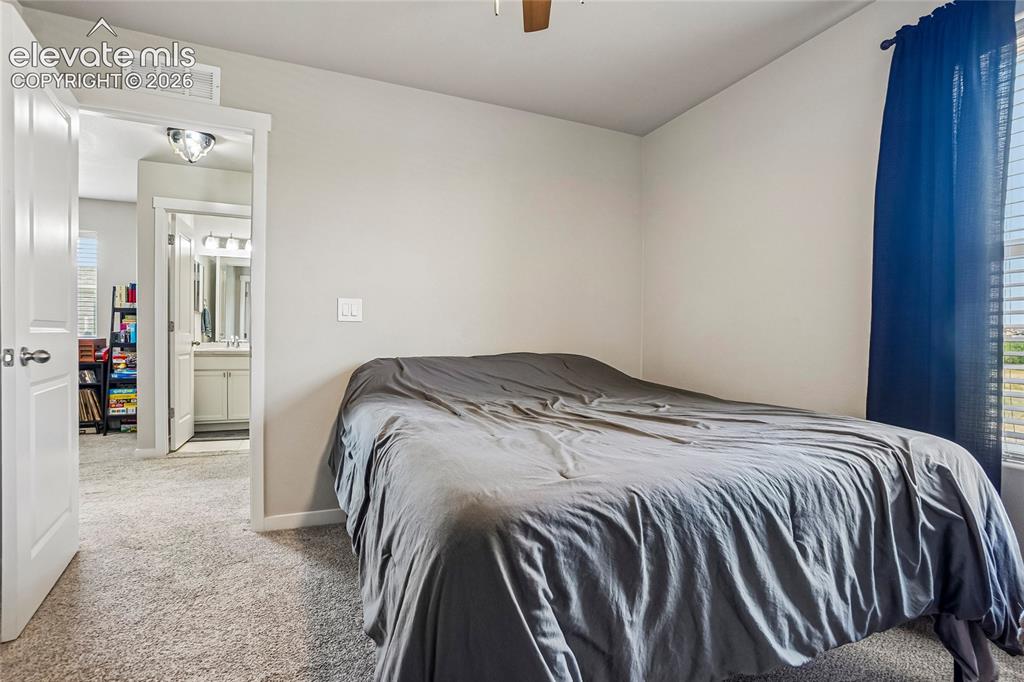 6862 Bigtooth Maple Drive Colorado Springs CO 80925