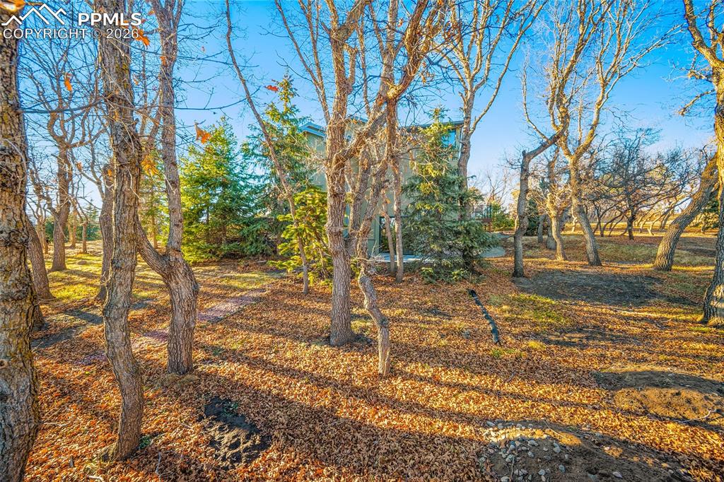 250 Wuthering Heights Drive Colorado Springs CO 80921