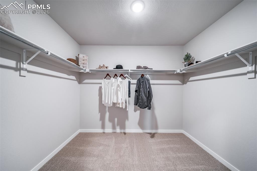 4970 Eddleman Court Colorado Springs CO 80925