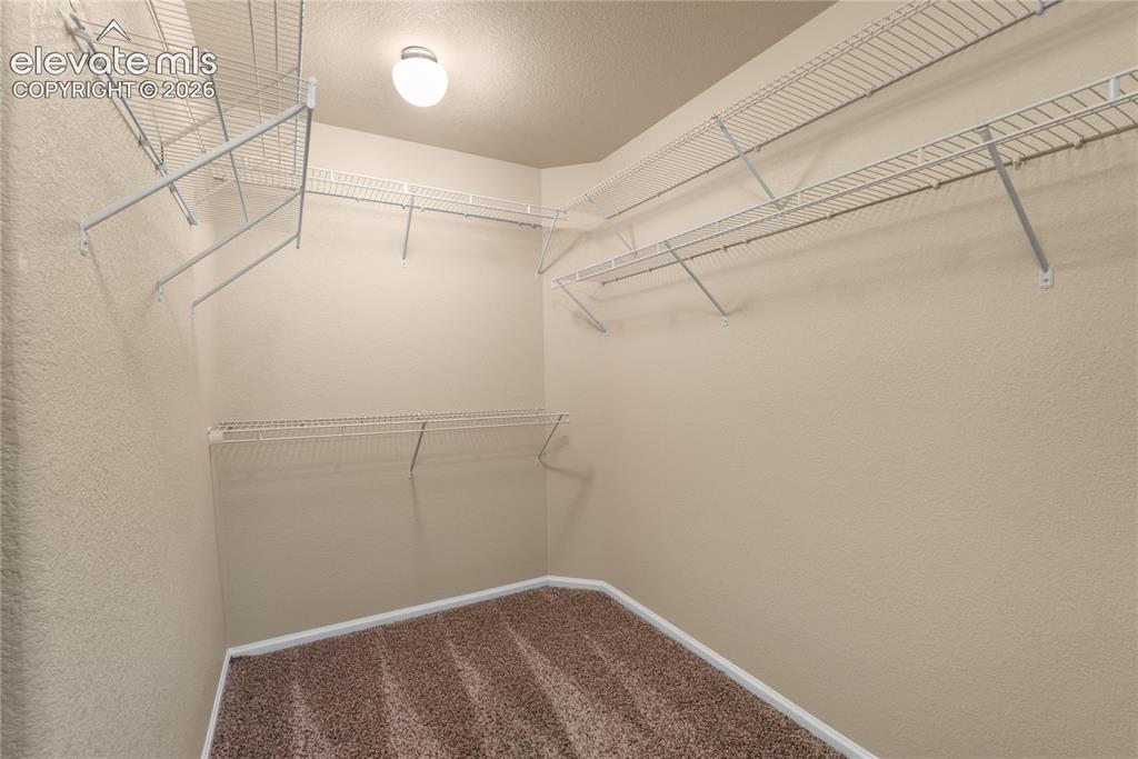 7848 Springwood Terrace Colorado Springs CO 80908