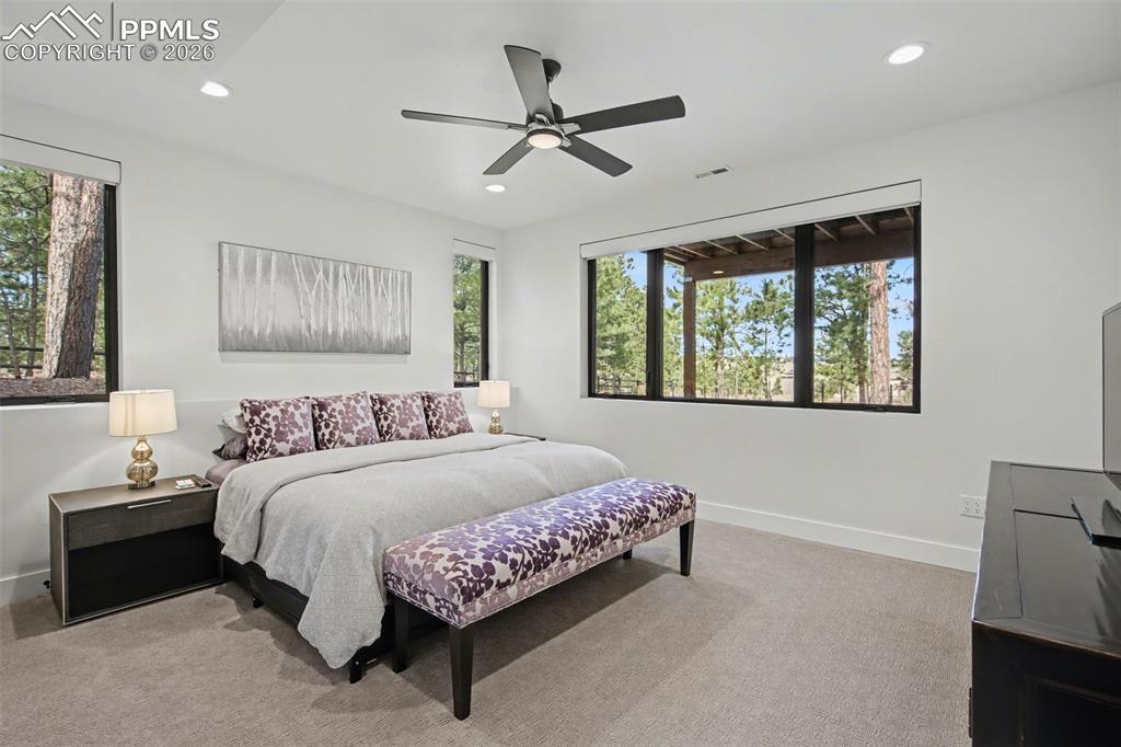 19125 Hilltop Pines Path Monument CO 80132