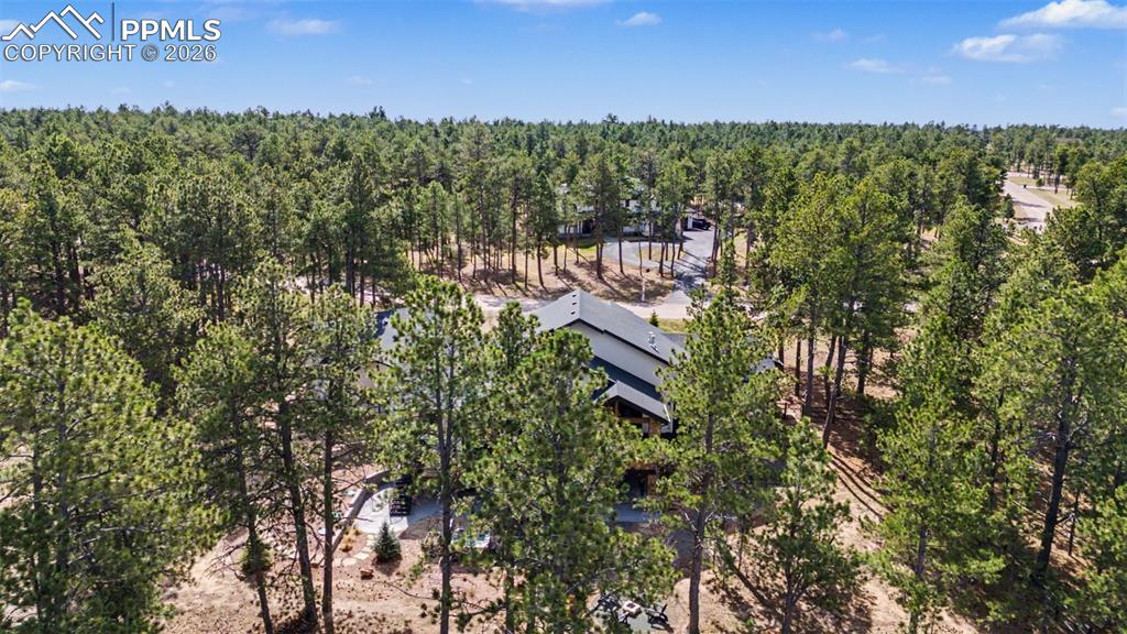 19125 Hilltop Pines Path Monument CO 80132
