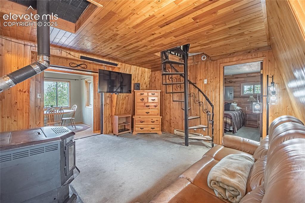76 Pine Drive Woodland Park CO 80863