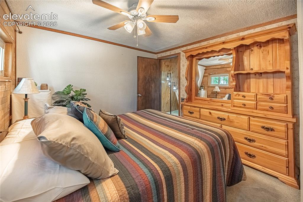 76 Pine Drive Woodland Park CO 80863