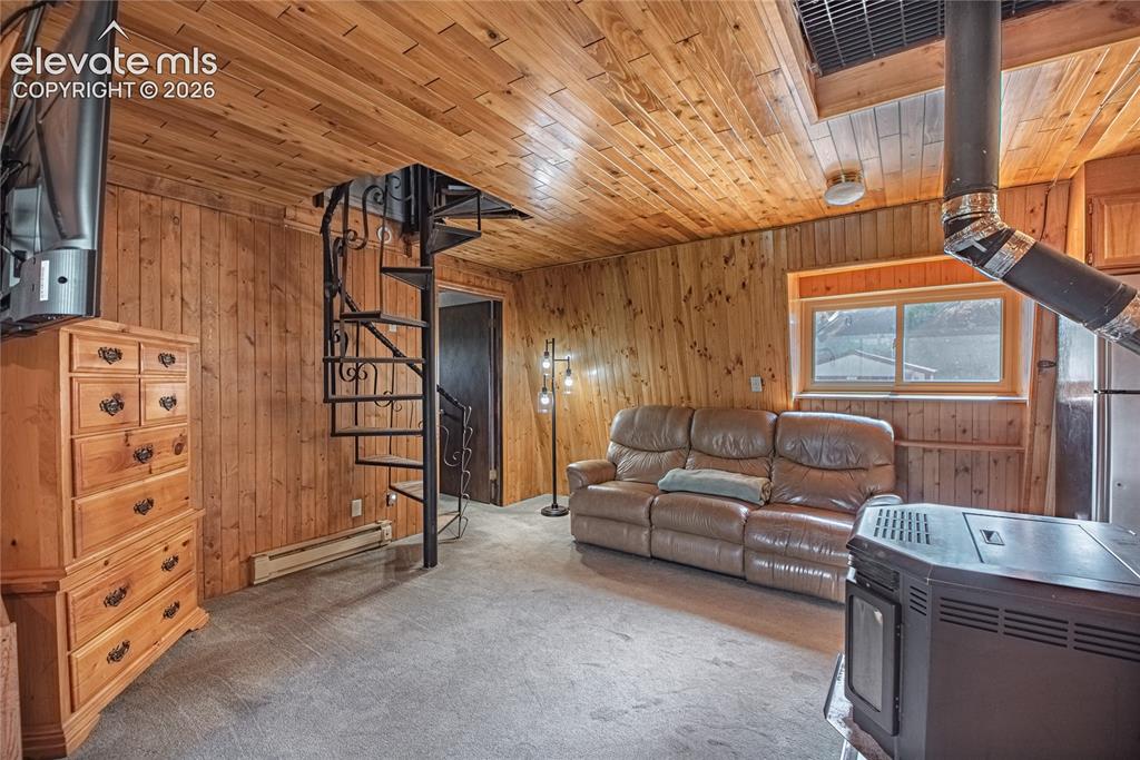 76 Pine Drive Woodland Park CO 80863