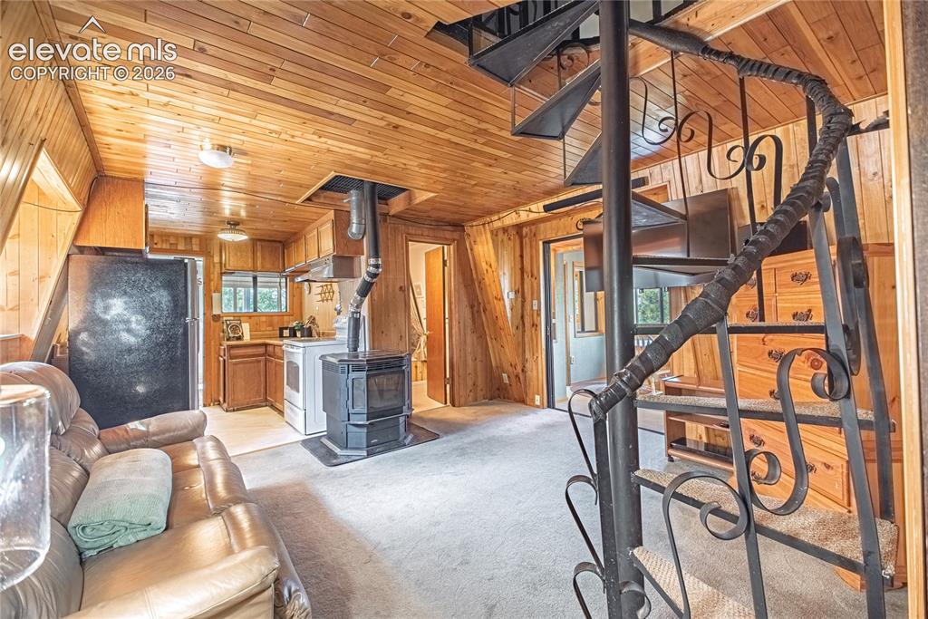 76 Pine Drive Woodland Park CO 80863