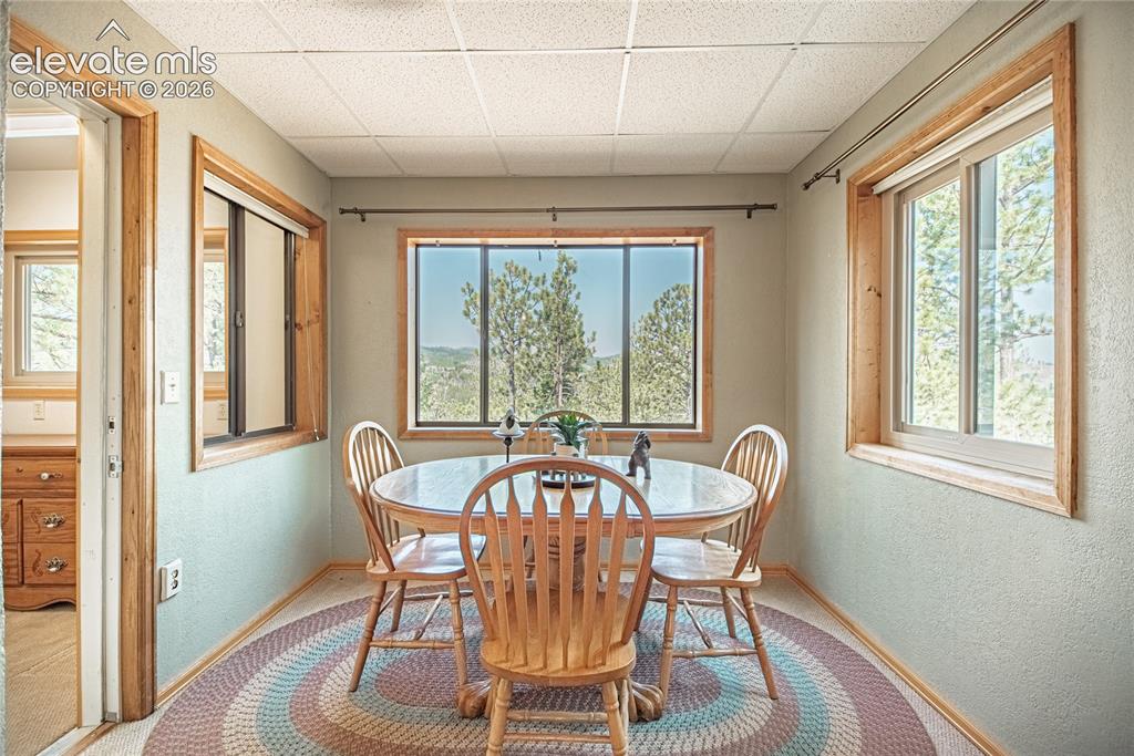 76 Pine Drive Woodland Park CO 80863