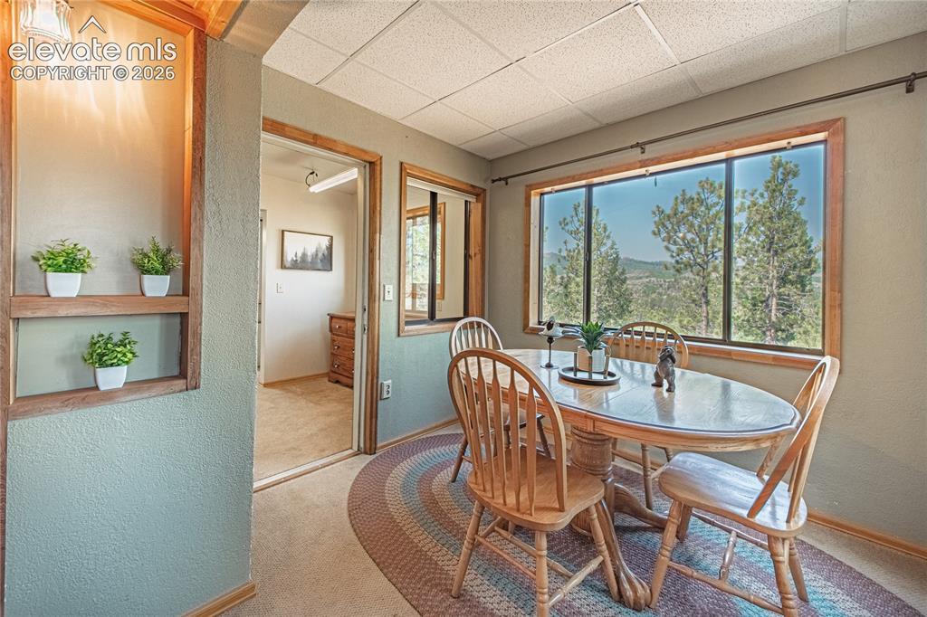 76 Pine Drive Woodland Park CO 80863