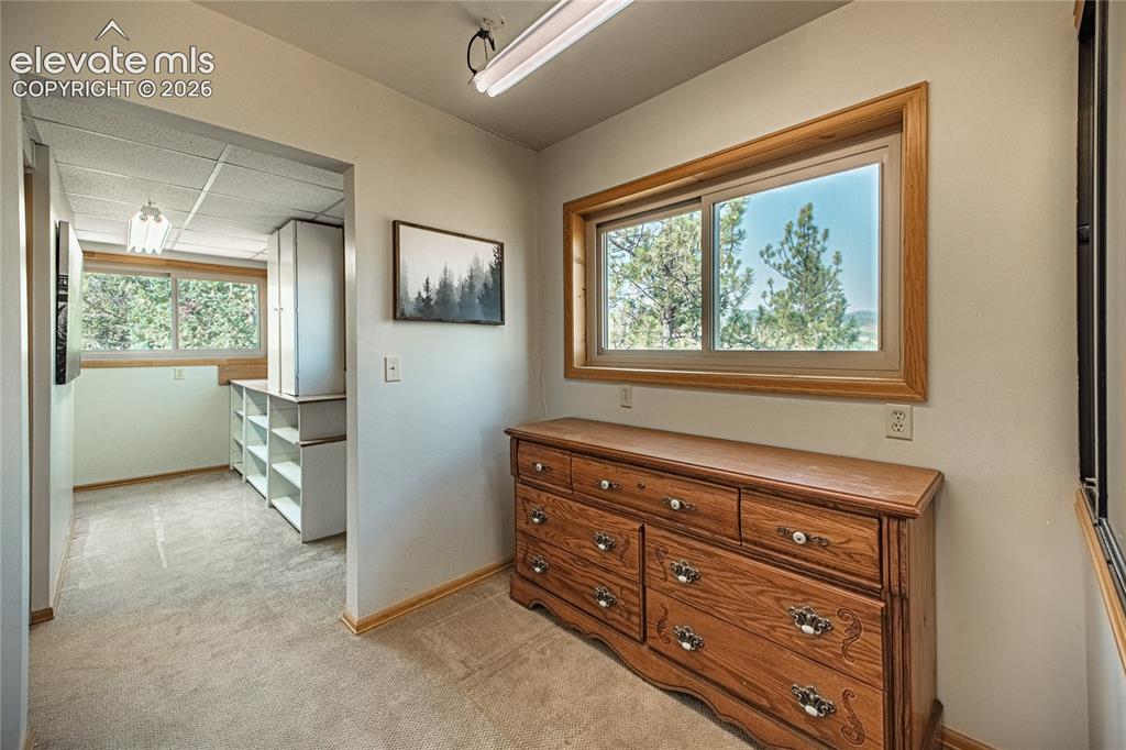 76 Pine Drive Woodland Park CO 80863