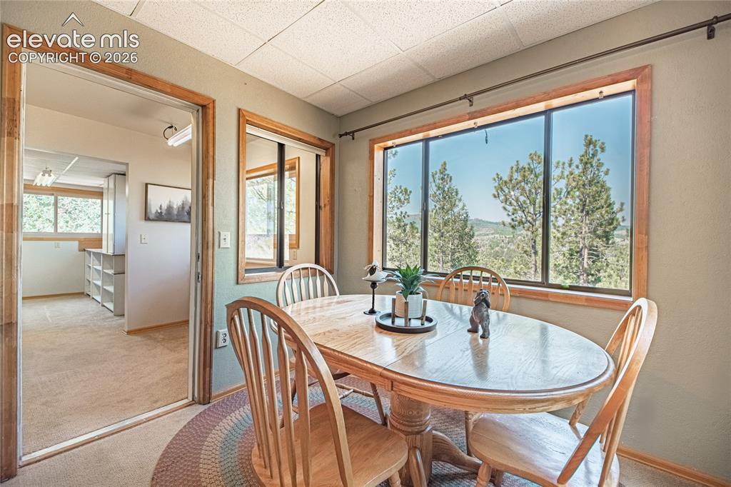 76 Pine Drive Woodland Park CO 80863