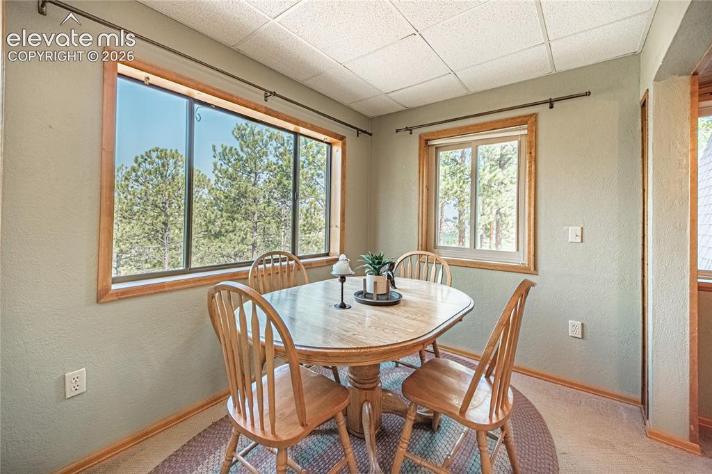 76 Pine Drive Woodland Park CO 80863