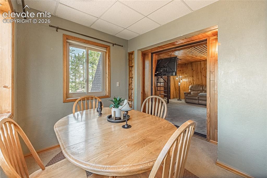 76 Pine Drive Woodland Park CO 80863