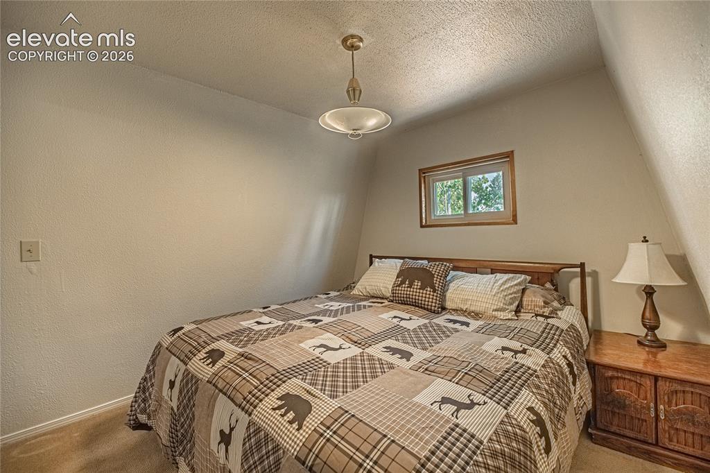 76 Pine Drive Woodland Park CO 80863