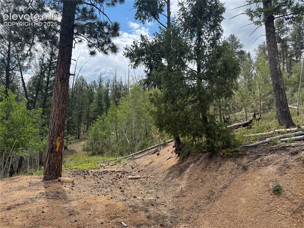 76 Pine Drive Woodland Park CO 80863