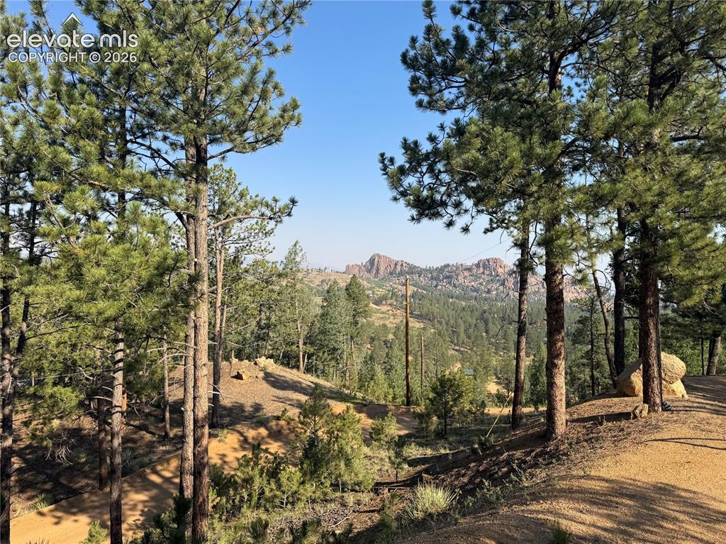 76 Pine Drive Woodland Park CO 80863