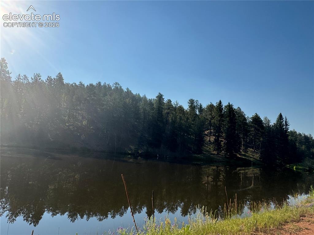 76 Pine Drive Woodland Park CO 80863