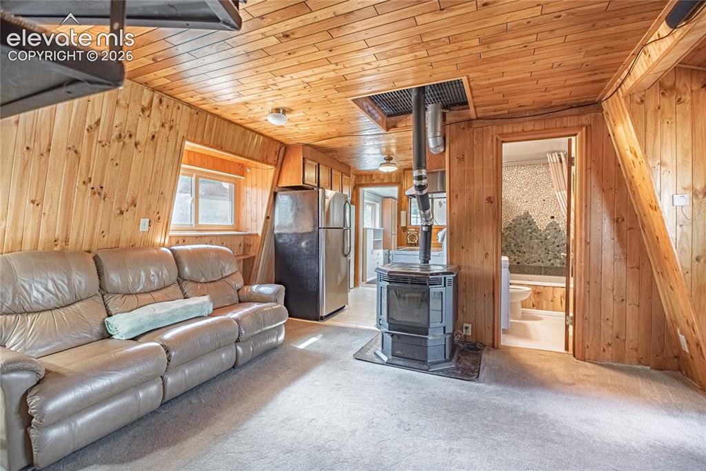 76 Pine Drive Woodland Park CO 80863