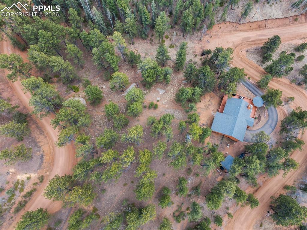 164 Spring Valley Circle Divide CO 80814