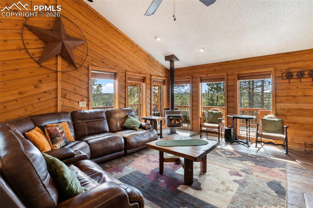 164 Spring Valley Circle Divide CO 80814