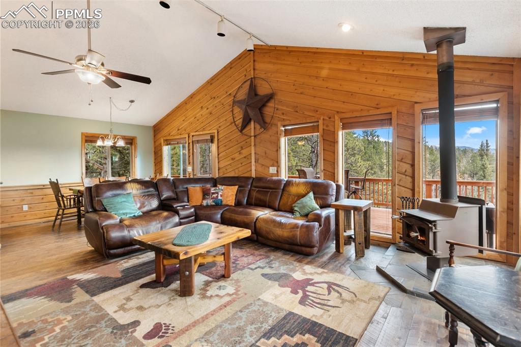 164 Spring Valley Circle Divide CO 80814