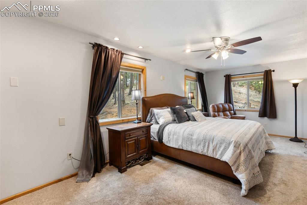 164 Spring Valley Circle Divide CO 80814